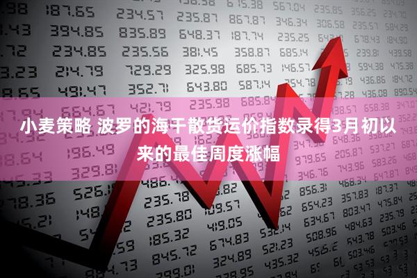 小麦策略 波罗的海干散货运价指数录得3月初以来的最佳周度涨幅