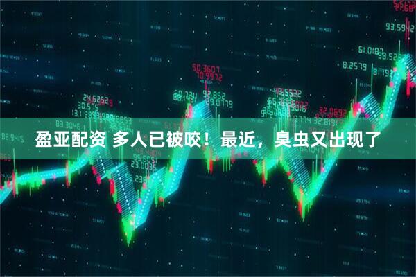 盈亚配资 多人已被咬！最近，臭虫又出现了