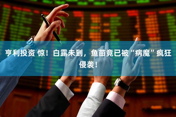 亨利投资 惊！白露未到，鱼苗竟已被“病魔”疯狂侵袭！